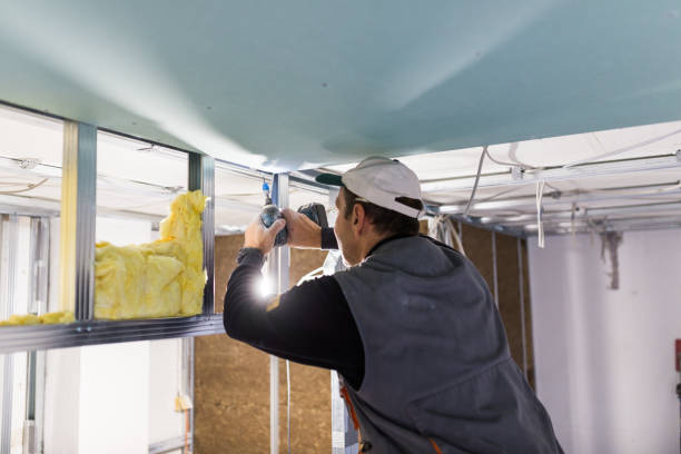 Best Commercial Insulation in , IL