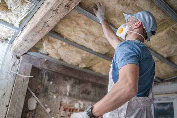 Best Insulation Maintenance and Repair in , IL